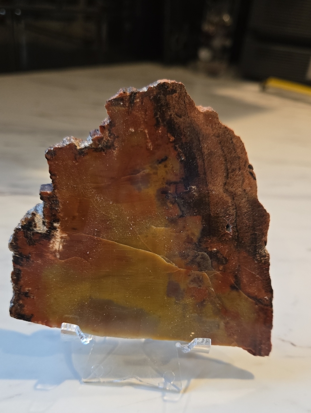 Natural Multicolor Decorative Petrified Wood - Brown and Yellow Home Art